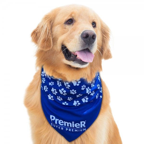 Bandana Pet Personalizada