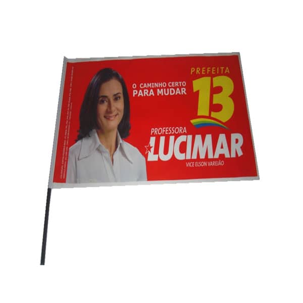 Bandeiras para Político