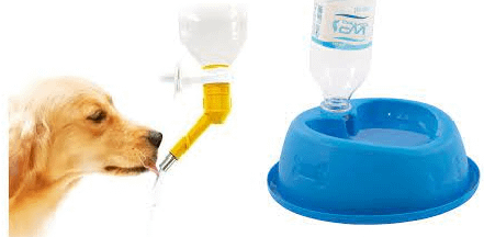 Bebedouro para pet