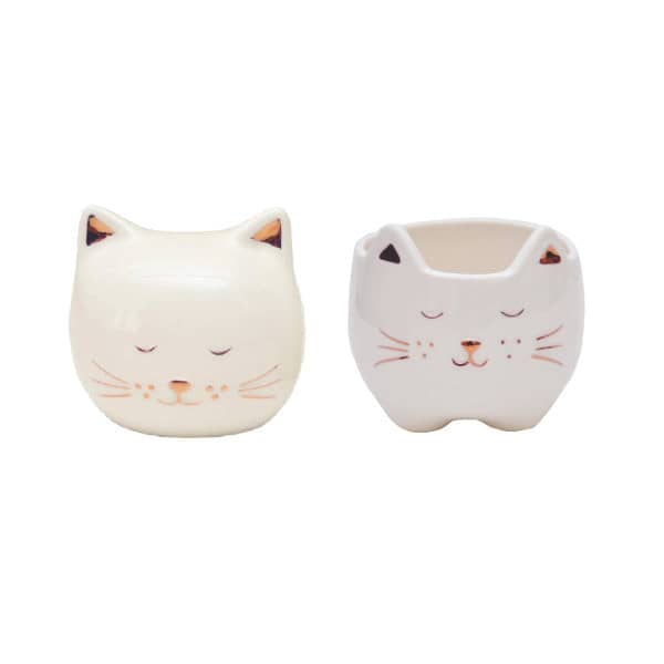 Cachepô Gatinhos Personalizados