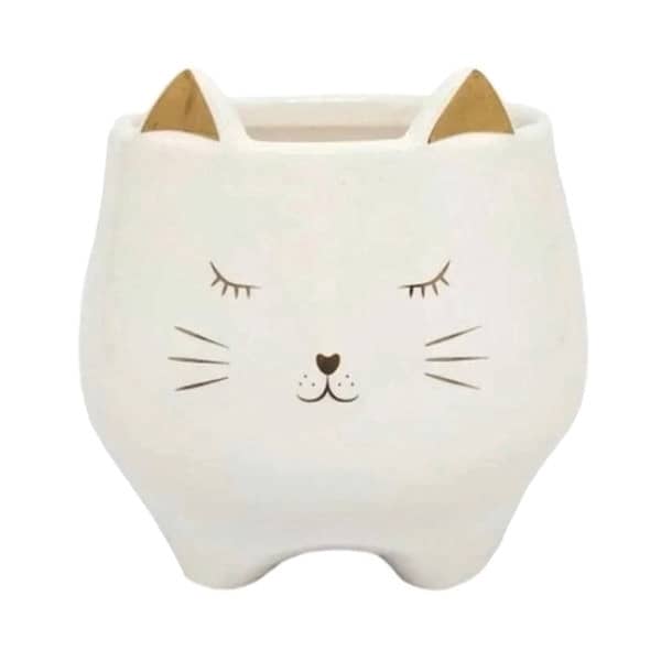 Cachepô Gatinhos Personalizados