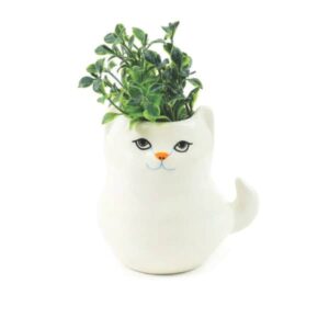 Cachepô Vaso de Porcelana Gato