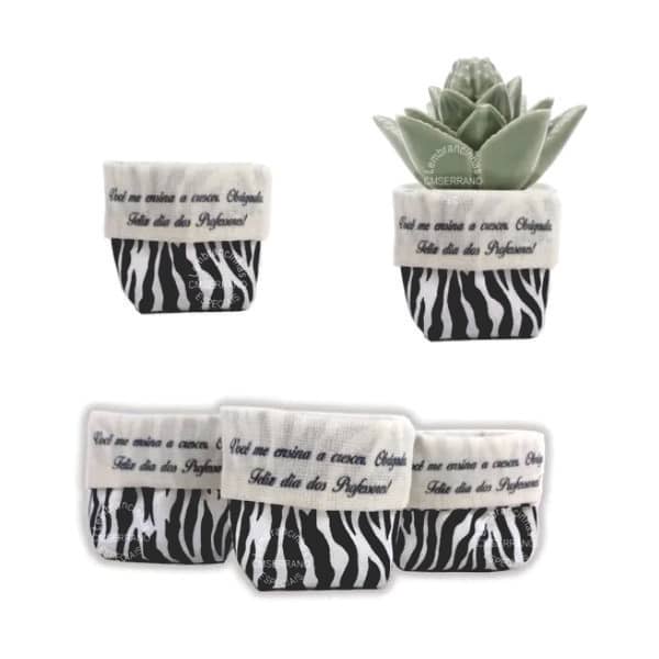 Cachepo vasinho Suculenta Personalizada