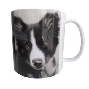 Caneca Plástica Personalizada com Foto