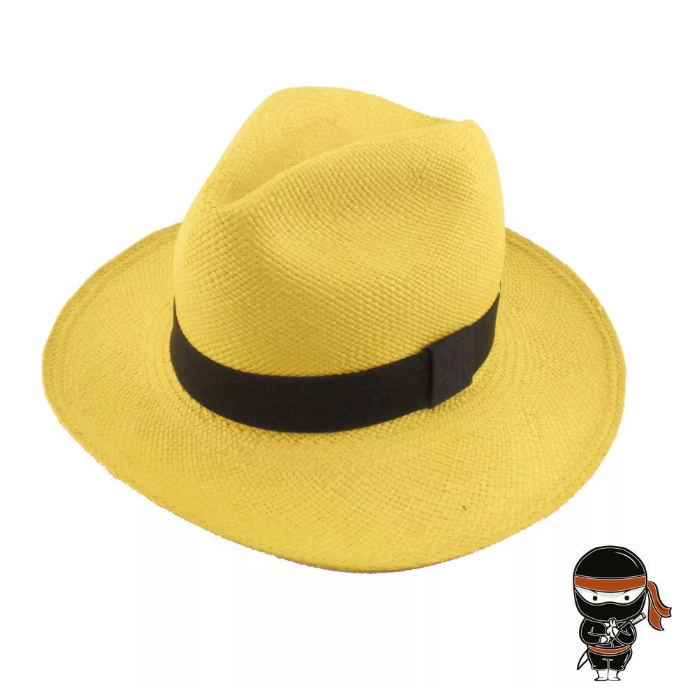 Chapéu panamá palha colorido