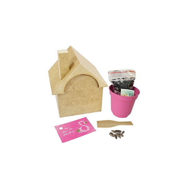 Kit Cultivo Especial Personalizado