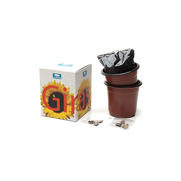 Kit Cultivo Girassol Personalizado