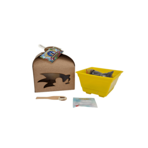 Kit Cultivo Infantil Personalizado