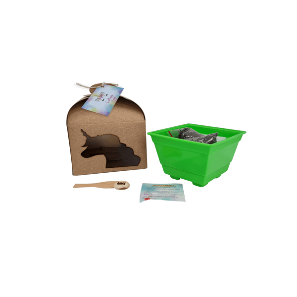 Kit Cultivo Infantil Personalizado