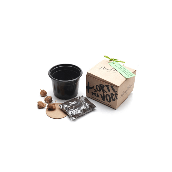 Kit Cultivo semente Personalizado