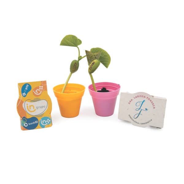 Kit Plantio Completo Personalizado