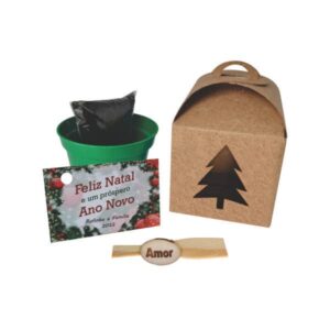 Kit Plantio Kraft com Semente