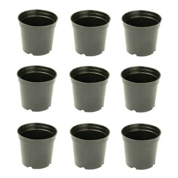 Kit Vasos Personalizados