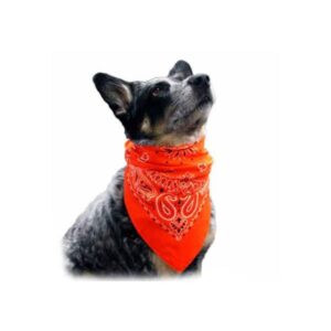 Lenços para Pet Personalizados