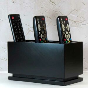 Porta-controle Remoto