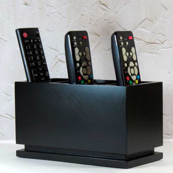 Porta-controle Remoto