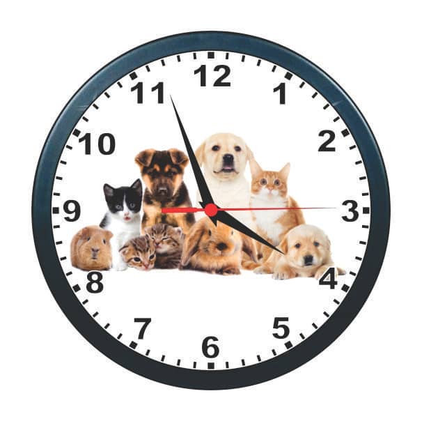 Relógios Personalizados São Bernardo do Campo