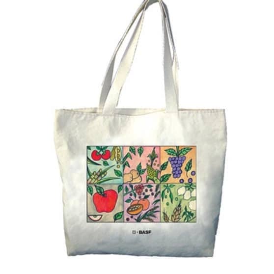 Sacola Personalizada Feira de Santana